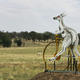Illustration for article titled Bicycle Built For Roo